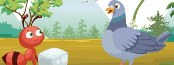 hacca giden karınca