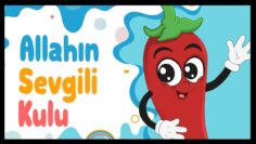 allahin sevgili kulu